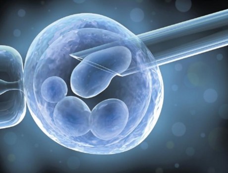Μύθοι και αλήθειες γύρω από τα νεώτερα δεδομένα της εξωσωματικής γονιμοποίησης
