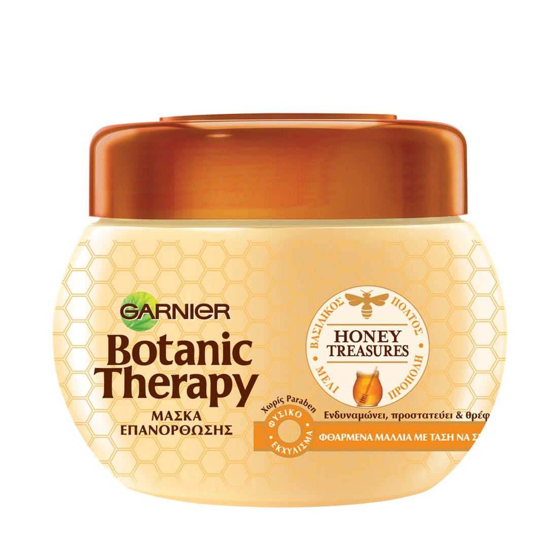 Garnier Botanic Therapy 